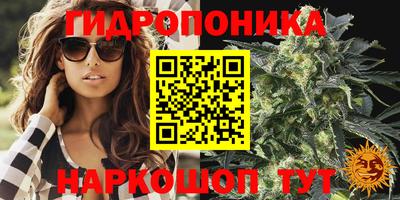 метадон Кингисепп