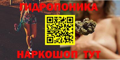 твердый Кимры