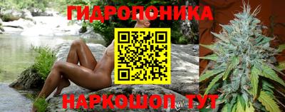 метадон Кингисепп