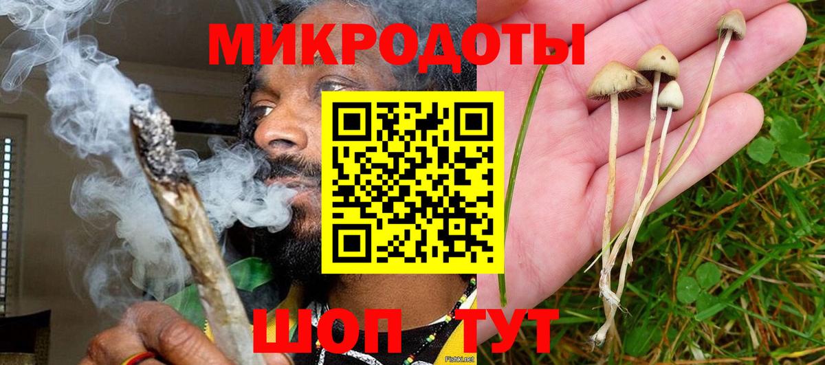 Псилоцибиновые грибы мицелий Кудрово